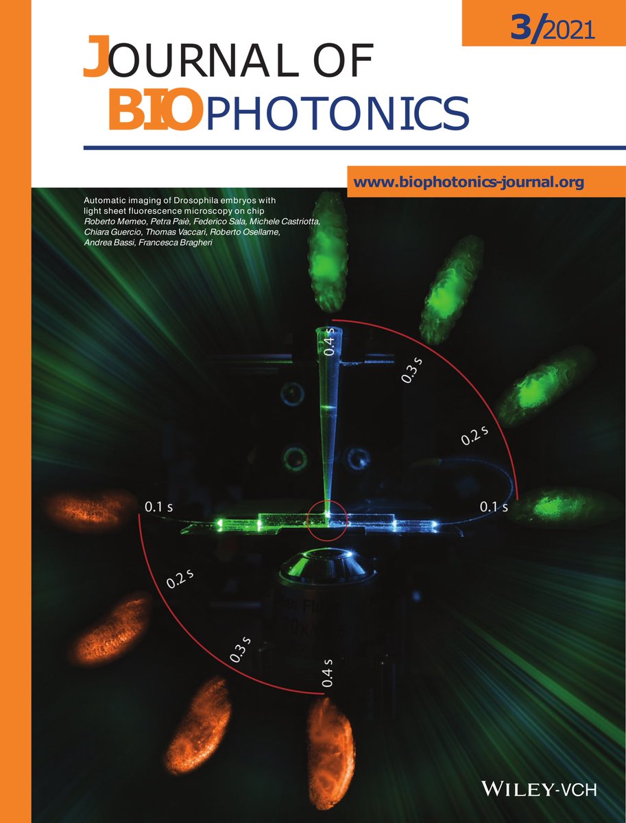 Super happy to share that our work about 3D imaging of Drosophila embryos on a chip is on the front cover of the #journalofbiophotonics! Check it out here onlinelibrary.wiley.com/doi/10.1002/jb… <a href="/CNR_IFN/">CNR - IFN</a>  @fisipolimi <a href="/EuProchip/">prochip.eu</a> <a href="/vaccart/">Thomas Vaccari</a> <a href="/fastgroup_ifn/">FAST Group</a>