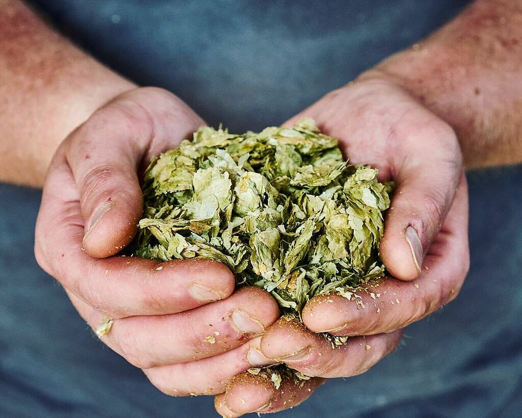 Yeah, I know, it’s a bit of a cliché, but I still love a pair of hands overflowing with colourful ingredients! This is from work shot for <a href="/arbor/">John Henderson</a>.ales a few years ago. I flipping love their beer, so much so in fact, that Shangri La was on the bar at my we… instagr.am/p/CL9qErDhSp7/