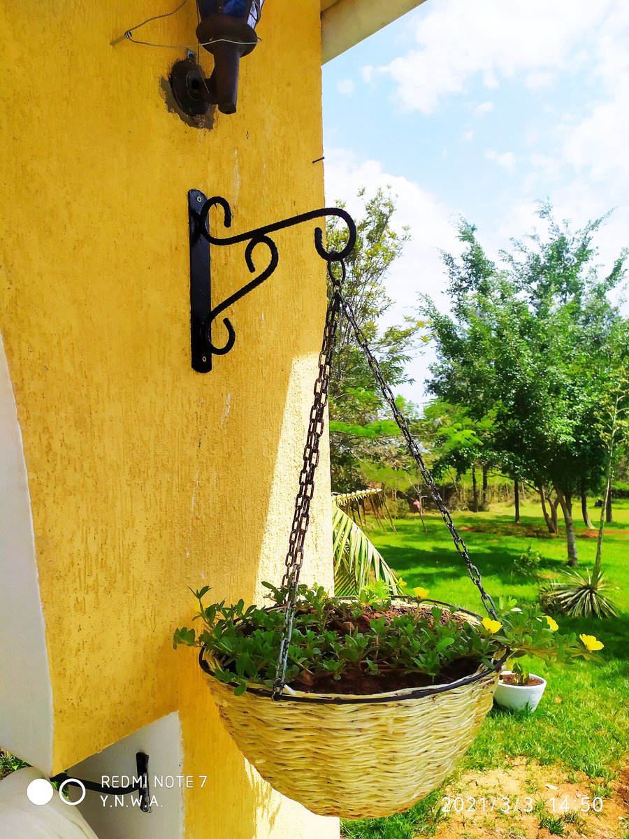 Keep Calm and prepare some hanging Baskets 
#GWL