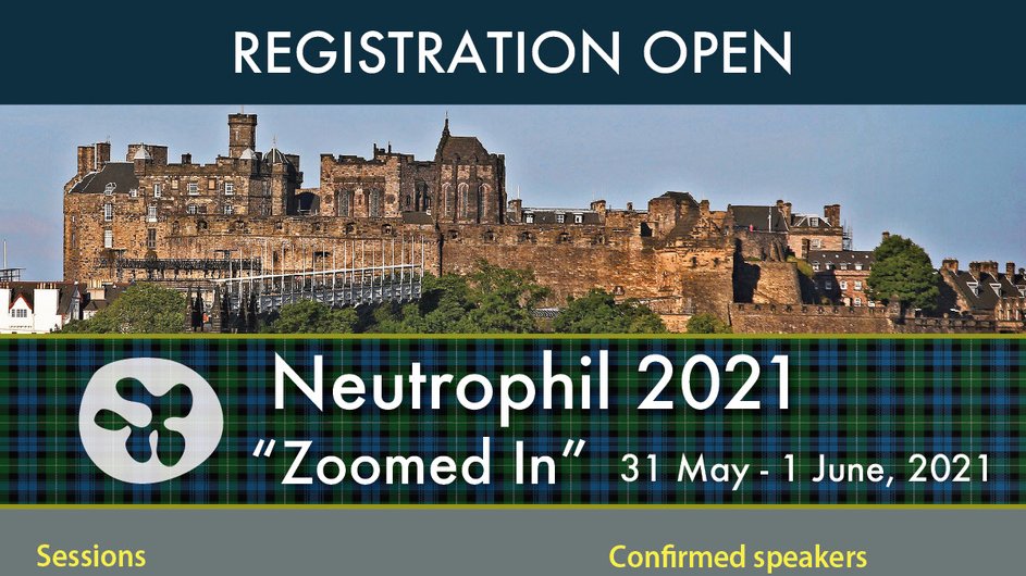 neutrophil2021's tweet image. You can now register for #Neutrophil2021 via the meeting website theneutrophil.com/registration/ We have a packed 2-day virtual program planned including keynotes, invited speakers &amp;amp; flask talks. Details below ⬇️