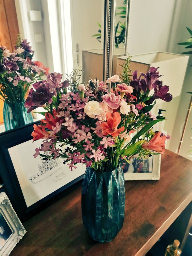 Emer_V's tweet photo. @BloomandWild what is this sorcery? 3 weeks and still going strong https://t.co/93umgkOWeL