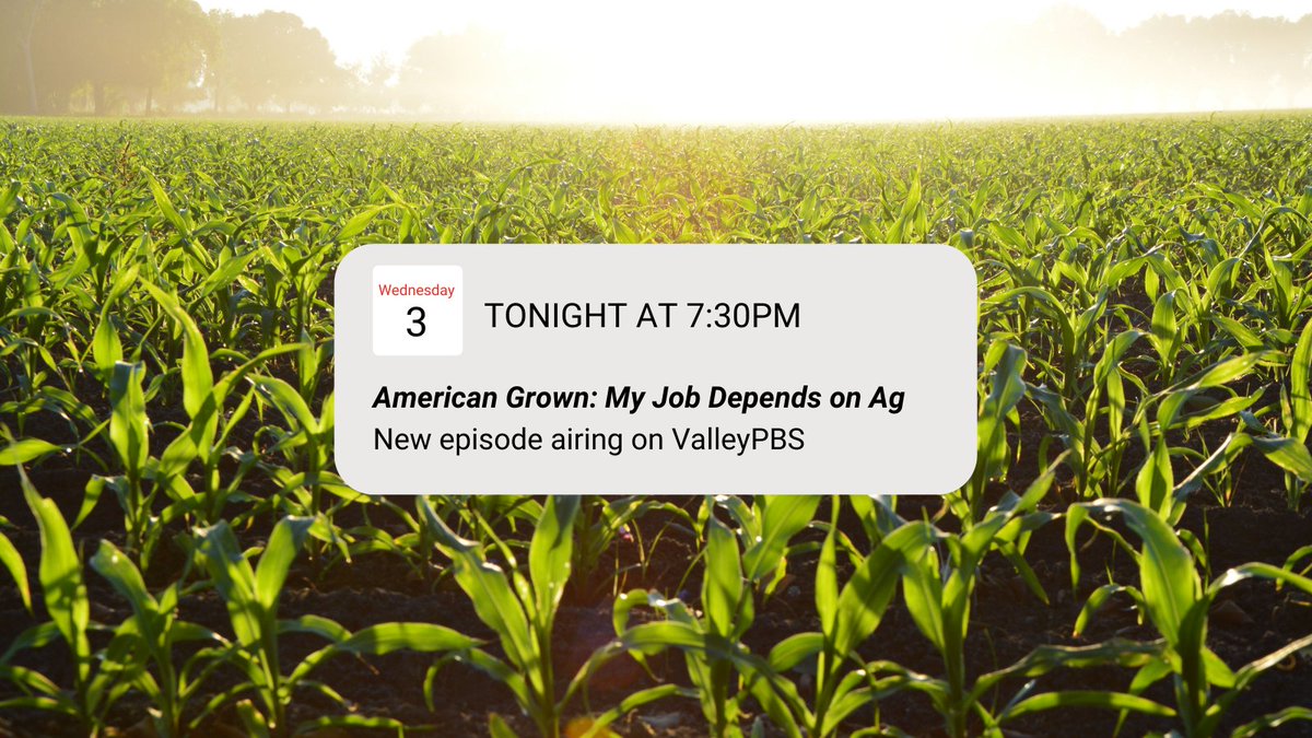 unWired Broadband (@gounwired) on Twitter photo It's another week of <a href="/AmericanGrownTV/">American Grown: My Job Depends on Ag</a> Make sure to tune in to <a href="/ValleyPBS/">Valley PBS</a> tonight at 7:30 to catch this week's episode. You can catch up on any episodes that you missed at mjdoatv.com! #MyJobDependsOnAg It's another week of <a href="/AmericanGrownTV/">American Grown: My Job Depends on Ag</a> Make sure to tune in to <a href="/ValleyPBS/">Valley PBS</a> tonight at 7:30 to catch this week's episode. You can catch up on any episodes that you missed at mjdoatv.com! #MyJobDependsOnAg