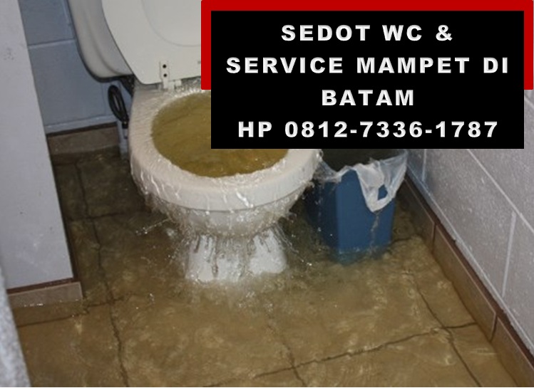 0812-7336-1787 Sedot Tersumbat Batam – Lancar Bergaransi

asigizi.blogspot.com

#BatamCenter #Sagulung #Punggur #Nongsa #BatuAji #Bengkong #Barelang #Batam #SedotWCBatam #SedotTinjaBatam #ServisMampetBatam #SedotMampetBatam #AntiMampetBatam #TinjaBatam #WCBatam #PromoPuncak33