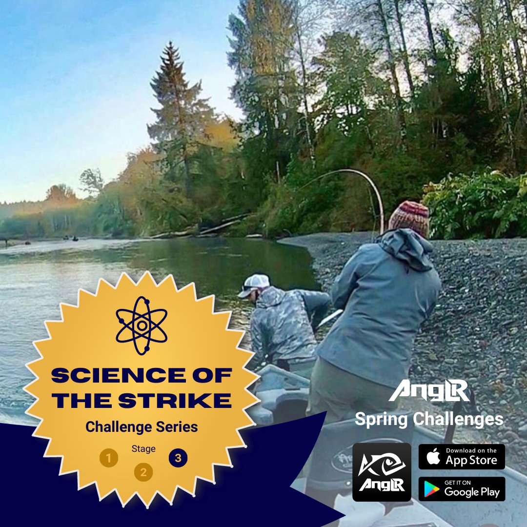 fly fishing retailers