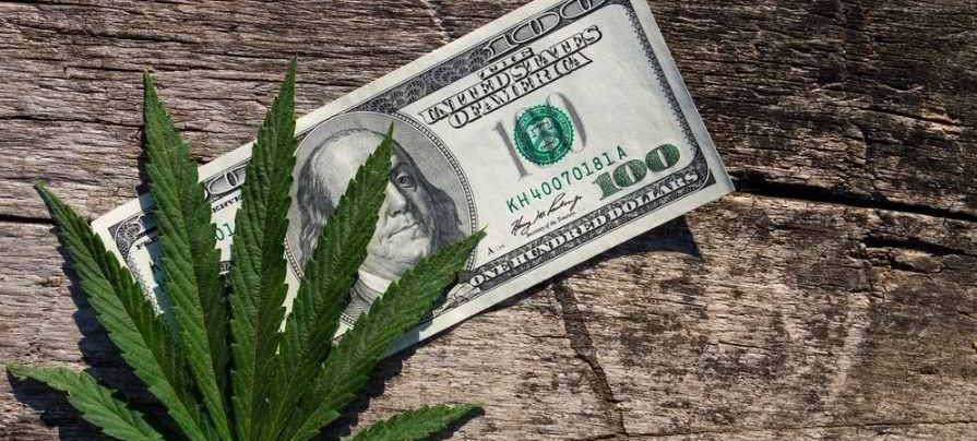 cannabisstack's tweet image. CBD Business Loans: Where to Find One and How to Apply? &amp;gt;&amp;gt;&amp;gt; bit.ly/2OgTO9Q
.
#business #cannabisbusiness #cannabisloans #businessloans #hemploans #cbdloans #cbd #cannabis