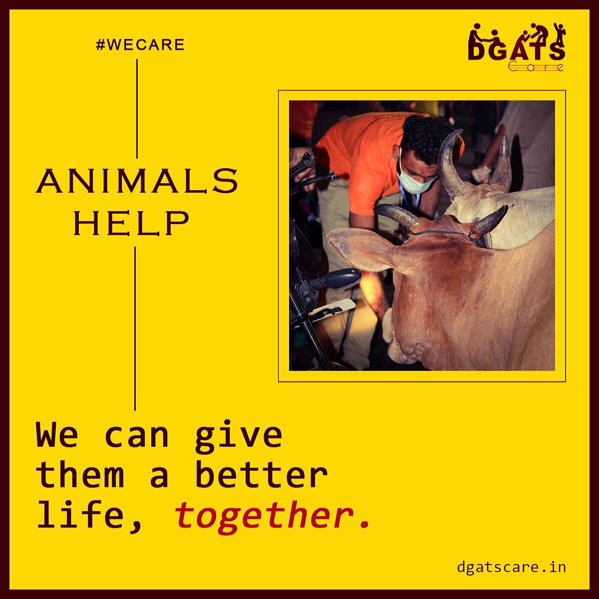 dgatscare's tweet photo. We can give them a better #life , together.  

#animals #animallovers #animalshelp #wecare #dgatscare #india #NGO #help 

@PMOIndia   @AdityanathMyogi @ArvindKejriwal @ndtvindia @ndtv @AamAadmiParty @BJP4India @TheLallantop https://t.co/7JVF60CGqI
