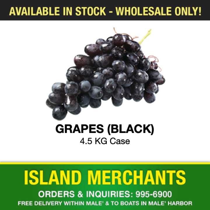IslandMerchants's tweet photo. Wholesale!
For orders &amp; inquiries ☎️ 995 6900
Free delivery within Malé and boats in Malé harbor.
#Maldives https://t.co/KcTzudR9GS