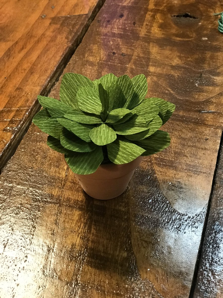 NNHSLC's tweet photo. 🪴MARCH into SPRING with the LC with our newest take and make craft - a tiny succulent!🪴 reserve your kit at the link in our bio or on the LC home page!🪴#203Unites #LearningCommonsFun https://t.co/uX2x7VZWe7