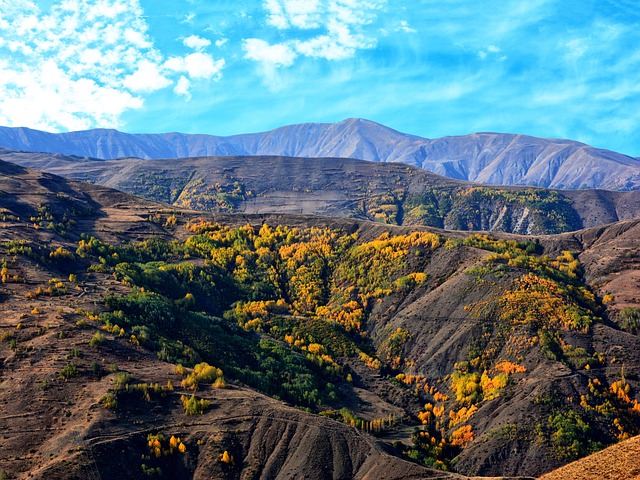 Ingeniería de Montes tweet media