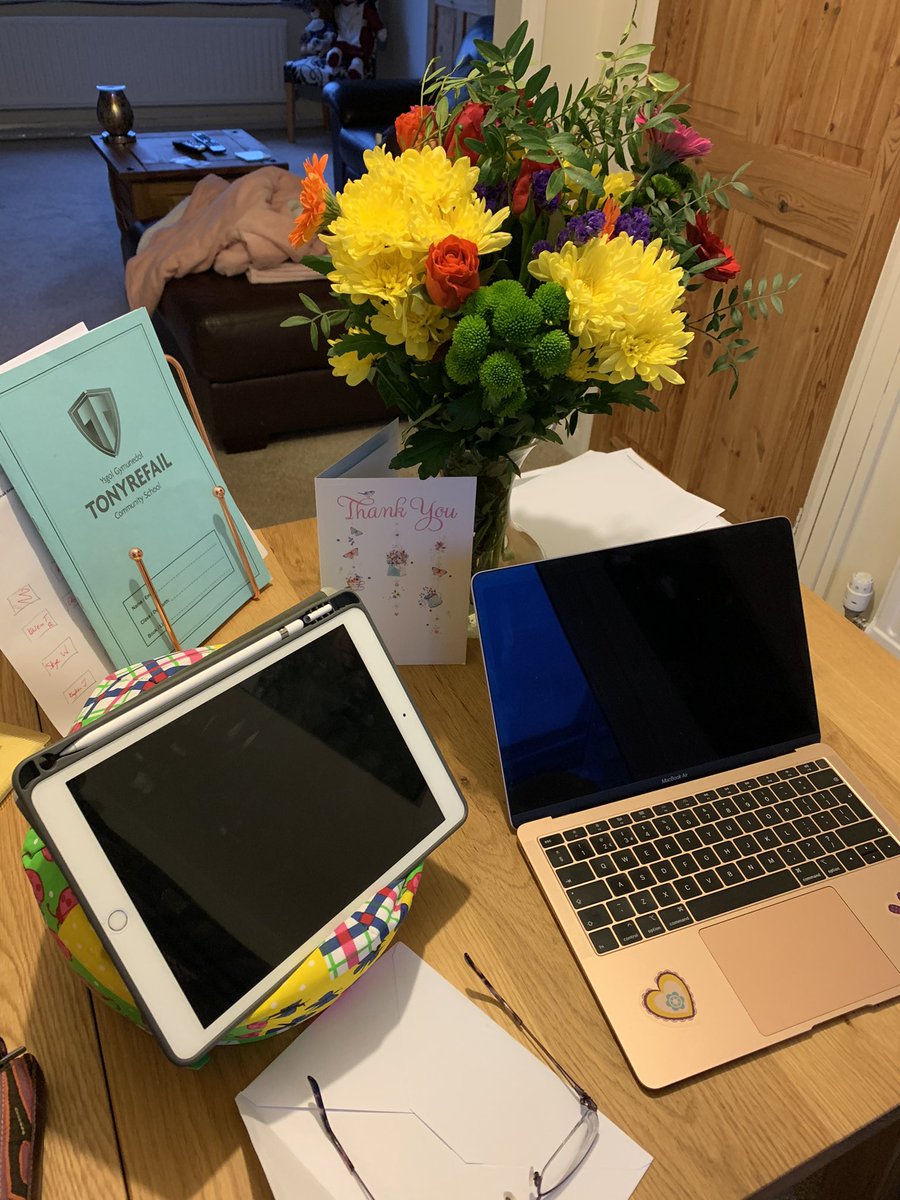 Shula Gunter tweet media