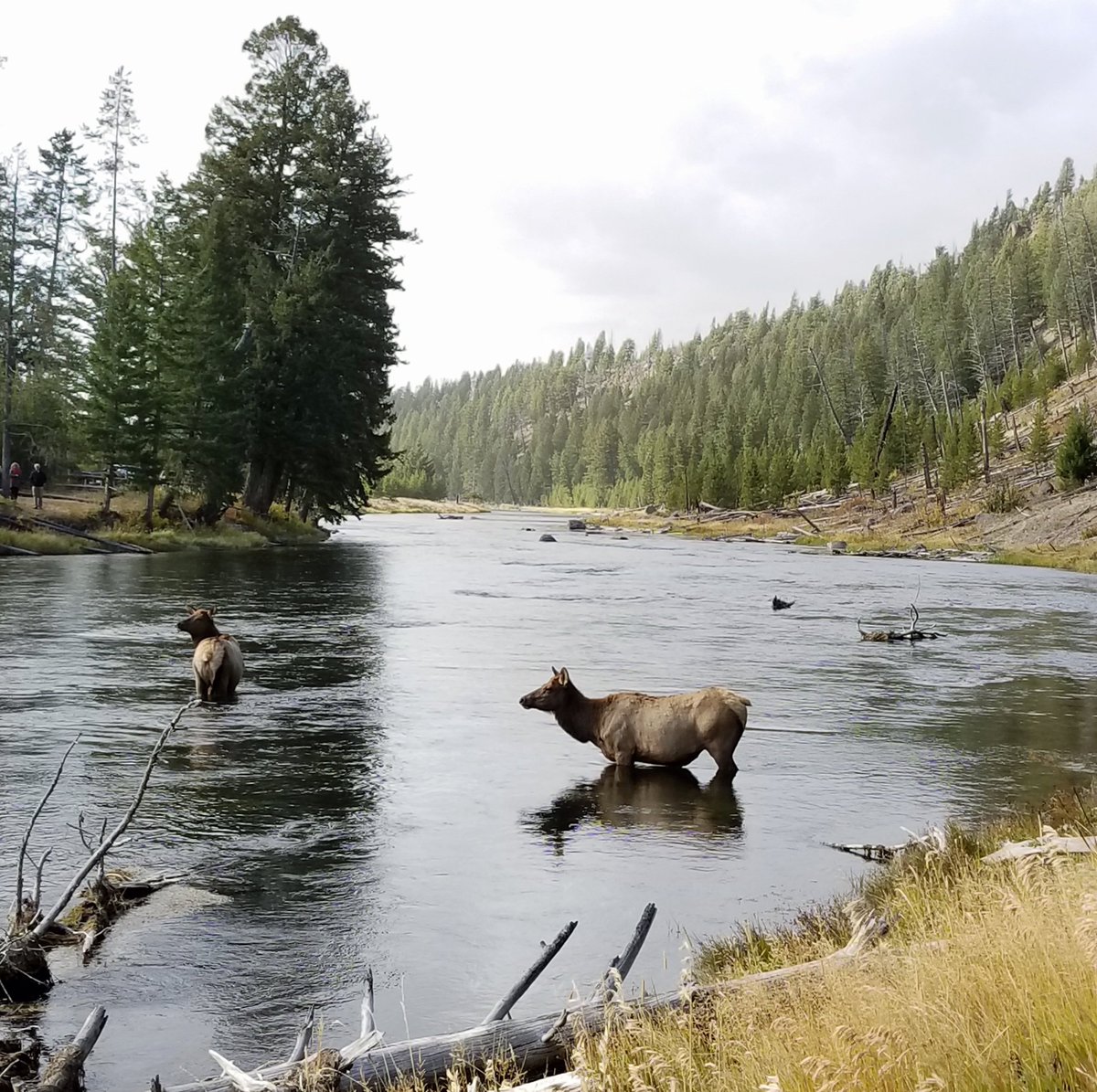 Craft & Common tweet media