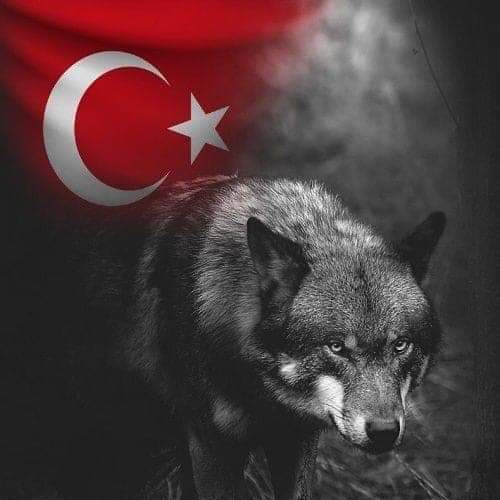 #YeniProfilResmi