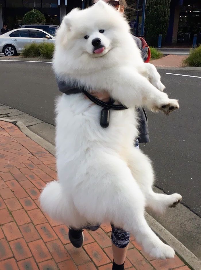 ⠀⠀ ⠀⠀ เตน่อรุกกี้                      เจโน่ NCT