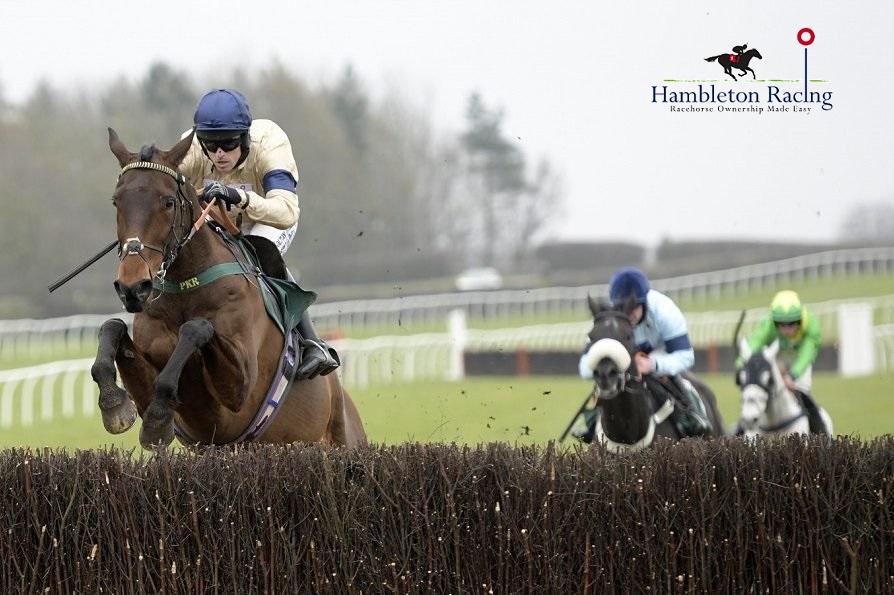 HambletonRacing's tweet image. Here in the office we love this fab shot of Whoshotthesheriff soaring over the final fence on his way to victory at Catterick yesterday! #HambletonTeam #JumpsTeam #MultipleWinner #HumpDayHappiness 🏇💛💙