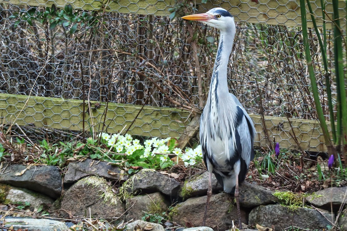 snug within tweet media