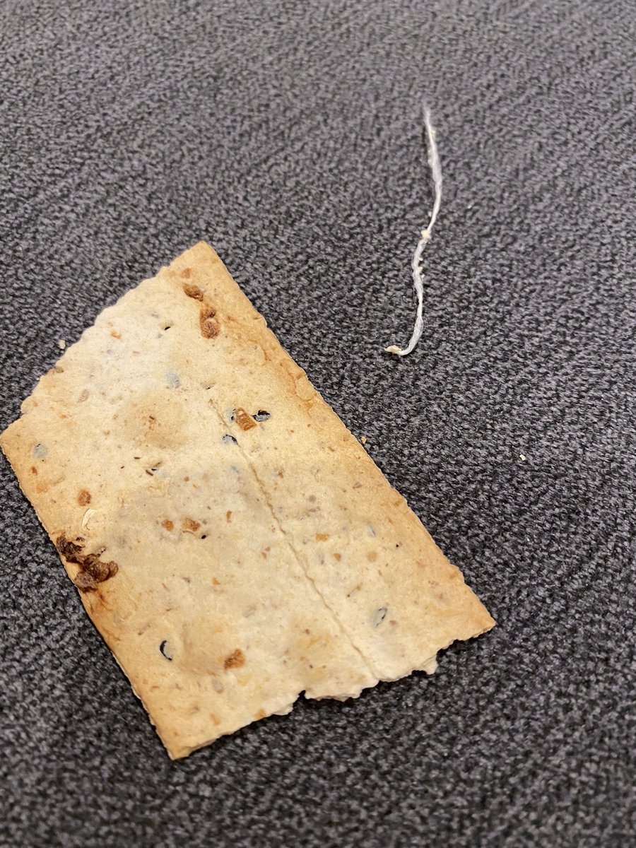 Rhiannon108's tweet photo. @Ryvita @Morrisons Can you please explain and contact me immediately as to why there is a piece of thread in my cracker?? https://t.co/gIqBQqxT3d