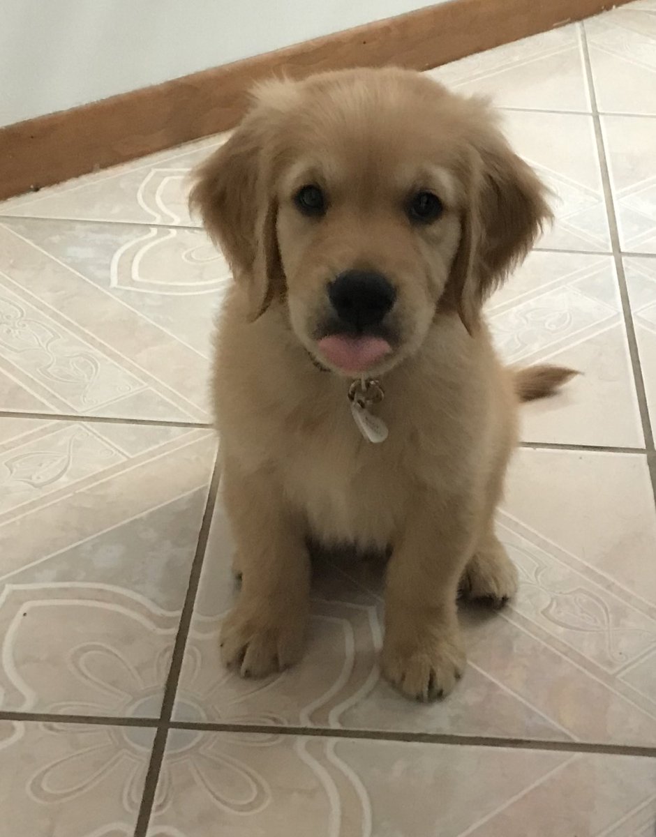 Check out this weeks episode ❤️😛
youtu.be/bo8p5Nypb4Q