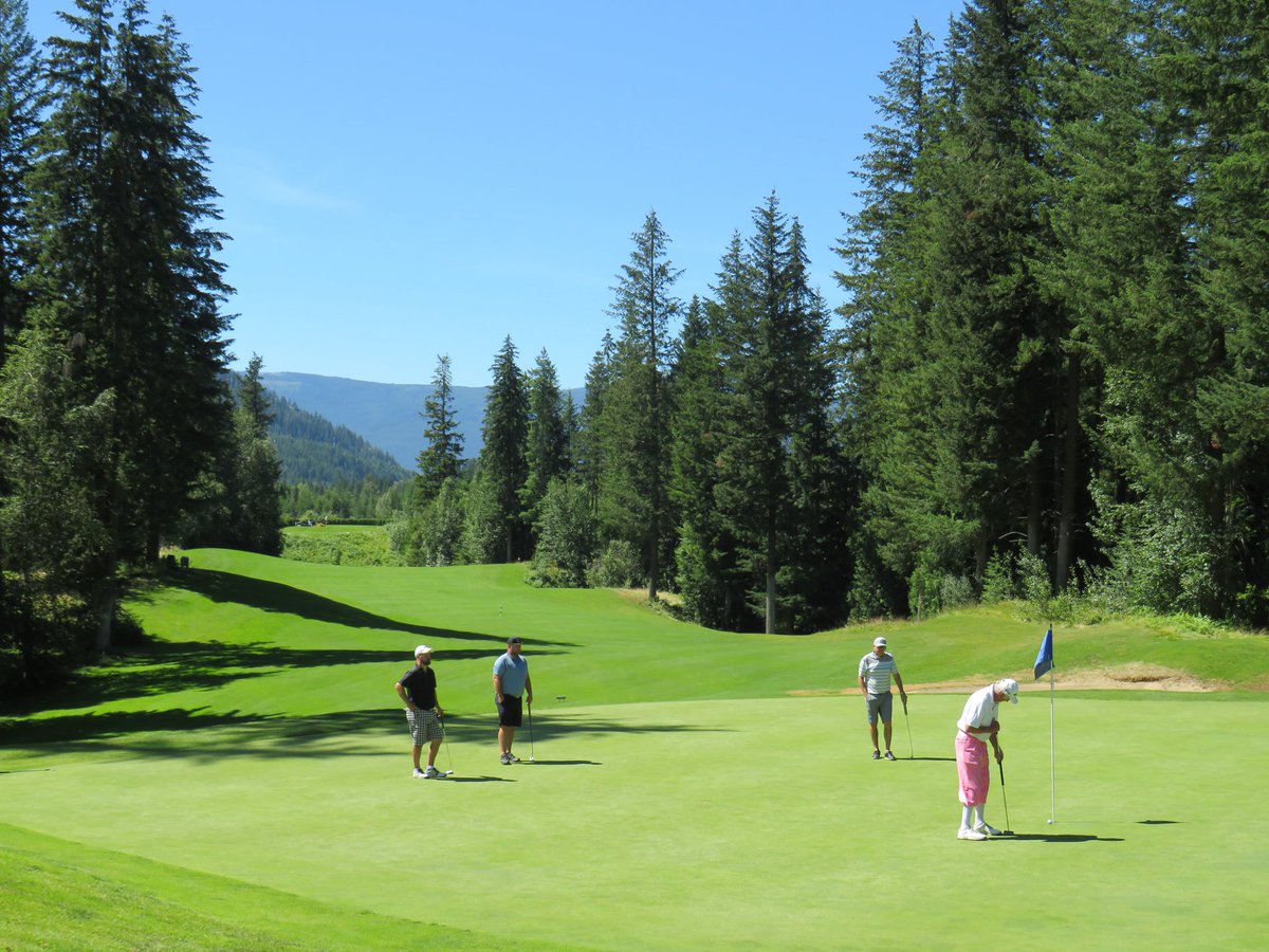 We are dreaming of greener #summerdays at the #SalmonArm #Golf Club. Who is ready for golf season to begin? #BringOnSpring! #GolfInBC #Shuswap #Okanagan #TeeTime #PlayOutside #GetFit #GetHealthy #FunWithFriends #FamilyActivities #TravelIdeas #LocalActivities #GolfNow #GolfNorth