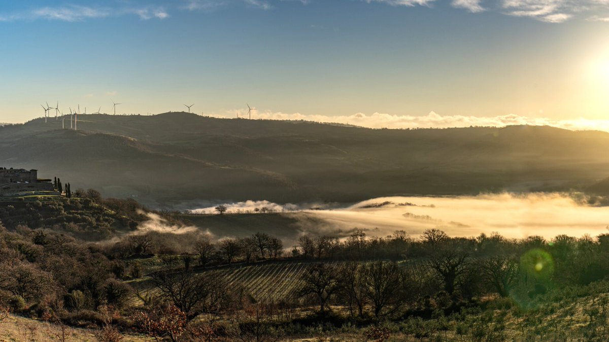 “A desert of sun-filled beauty”
“Un deserto di bellezza colmo di sole” 
- Felicia Dorotea Hemans (1793-1835)

Happy #WineWednesday #winelover-s from Maremma, #Tuscany