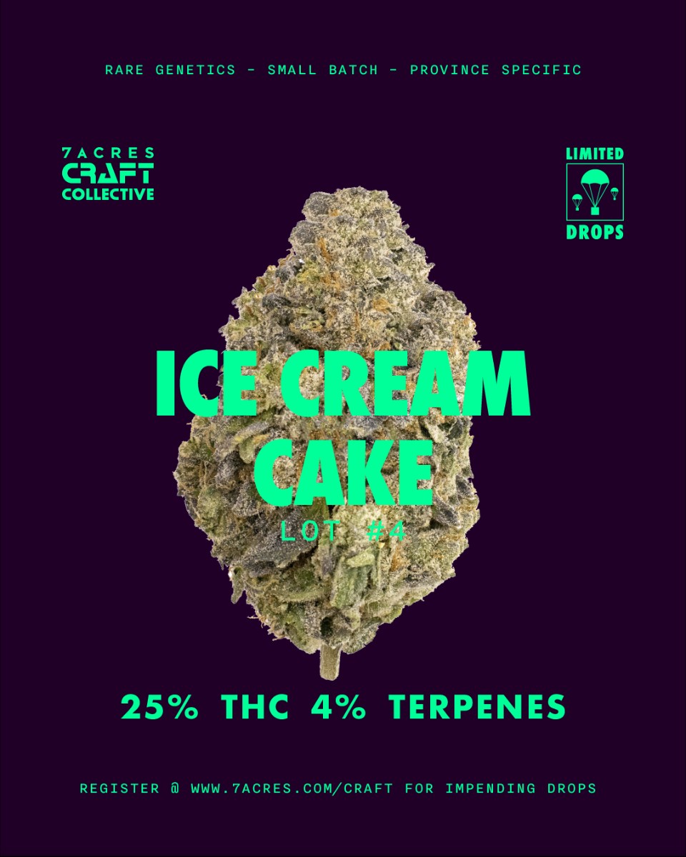 7ACRESmj's tweet photo. This lot of Ice Cream Cake is packed with milky white trichomes that exhibit notes of creamy vanilla, sweet lemon and doughy cake.
This is the cake you have been looking for. Learn more: https://t.co/6GEYckWjNF
#7ACCC #IceCreamCake #craftcannabis #cannabis https://t.co/FBOCb8N8mL