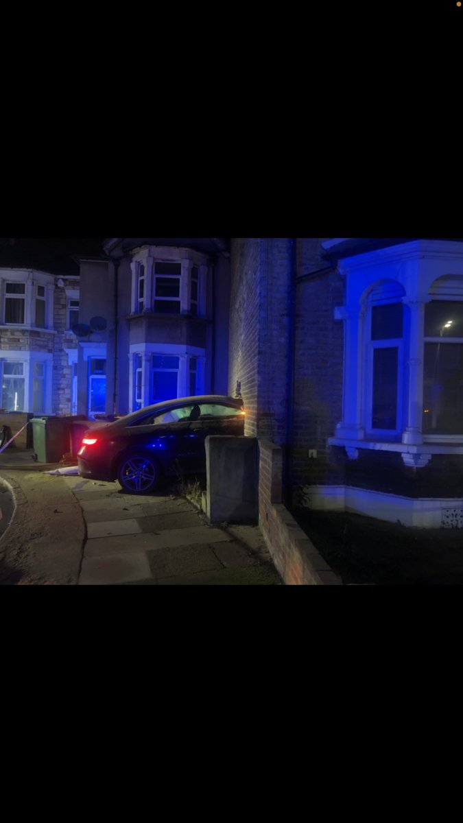 Carolina Mantzalos tweet media