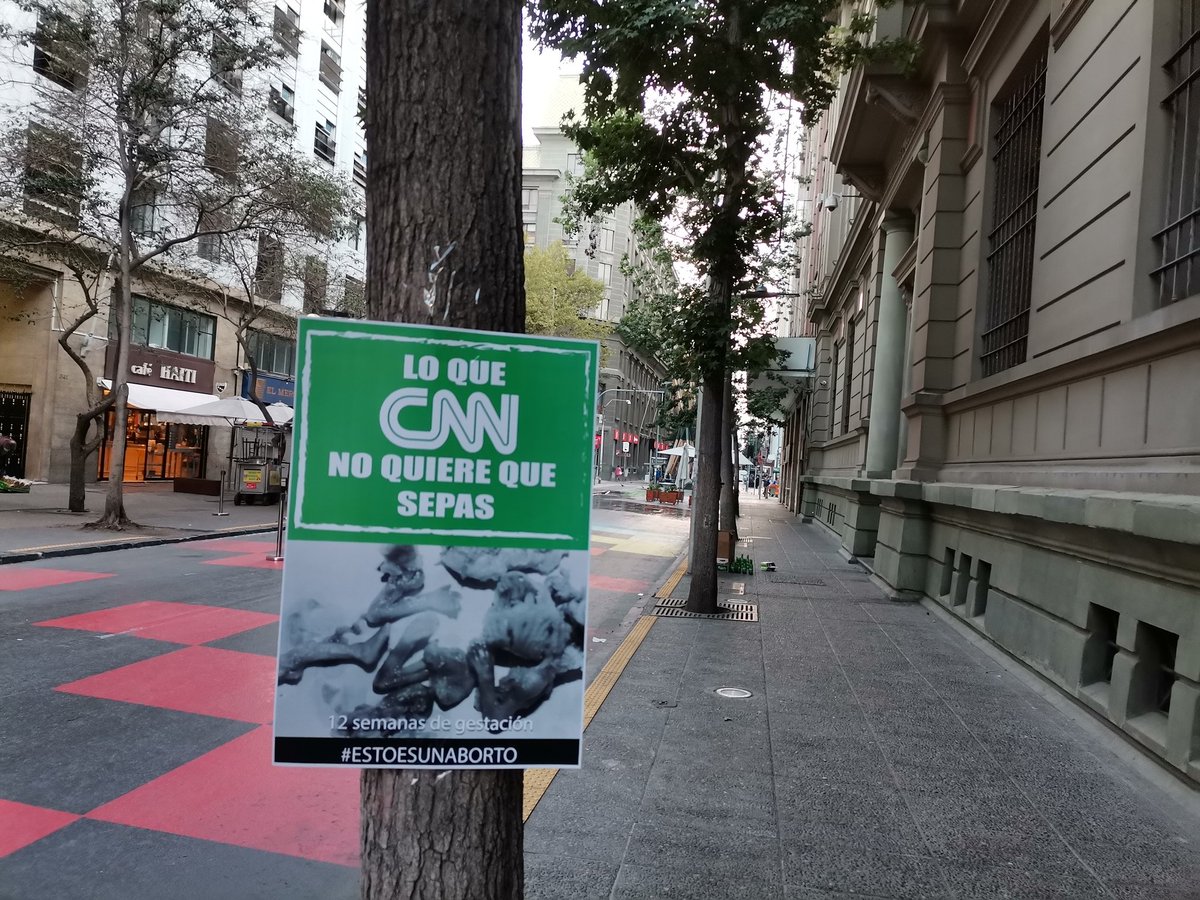 mareaceleste_'s tweet photo. Q la realidad se imponga sobre el relato. Esto es lo q quieren ocultar y disfrazar c/ eufemismos y un falso discurso de derechos. Q hoy se debata si amparar legalmente una barbarie como esta nos muestra el estado de la sociedad en que vivimos #EstoEsUnAborto https://t.co/HJyAgKgAKL