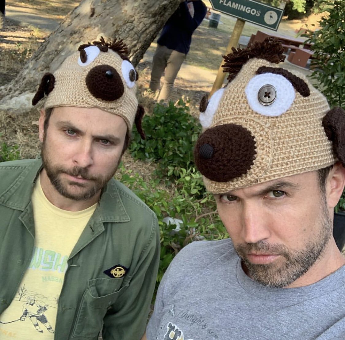 PaddysGuard's tweet image. Meerkats be meerkatting