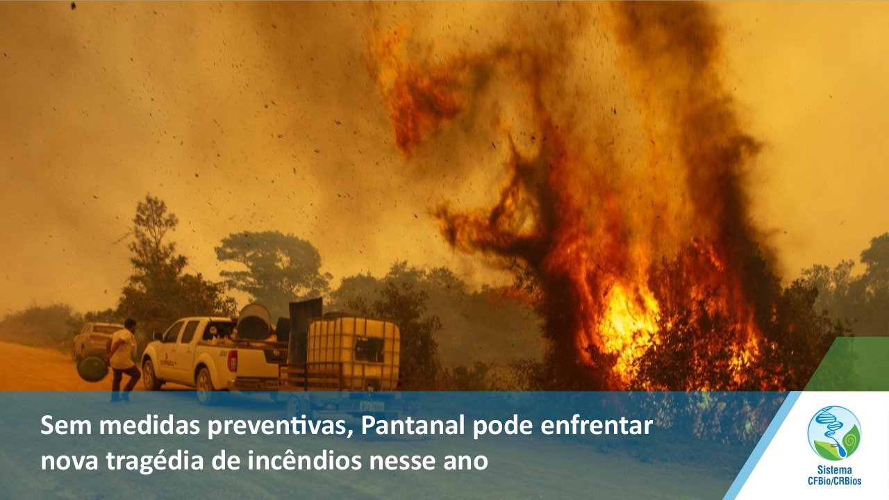 CRBio-03 - Conselho Regional de Biologia 3ª Região - O REDD (Redução das  Emissões por Desmatamento e Degradação florestal) ou, em inglês, Reducing  Emissions from Deforestation é um conjunto de incentivos econômicos