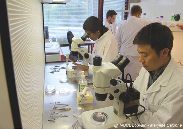 👨‍💻Apply for funded #TNA access to Delicate Microorganisms at the <a href="/CECT_UV/">Colección Española de Cultivos Tipo (CECT)</a> - underrepresented strains in public collections and very difficult to preserve and replicate. Send your application until 16th April 2021. Apply here: ismirri21.mirri.org/project-platfo…
#academia #research #opencalls