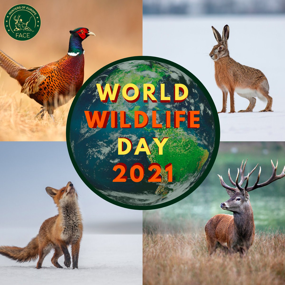 FACEforHunters's tweet photo. Happy #WorldWildlifeDay 🎉– celebrating #biodiversity 🦌🌲! #WWD2021 Theme: “Forests and Livelihoods: Sustaining people and Planet” – key role of forests, species &amp; ecosystem services. Sustainable #hunting📯supports local communities &amp; conserves #wildlife. https://t.co/TkqmFJ5gw4 https://t.co/rnA7rKCE80