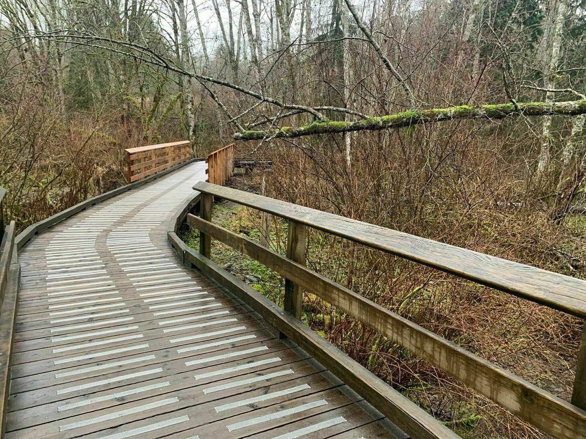 Are you already in need of a break from the work week? Take a much-deserved break in nature and visit the beautiful Serpentine and Hawthorn Trail rail nestled in the heart of Surrey.
Note: When exploring trails and parks, be sure to follow public health guidelines.