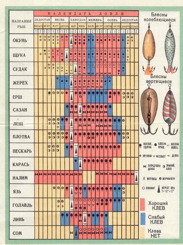 Советский, злой, твой on X: В СССР был свой календарь рыболова. С этим  календарем с легкостью определяли, когда и у какой рыбы нерест. На какую  снасть и в какие дни ловить. Указано