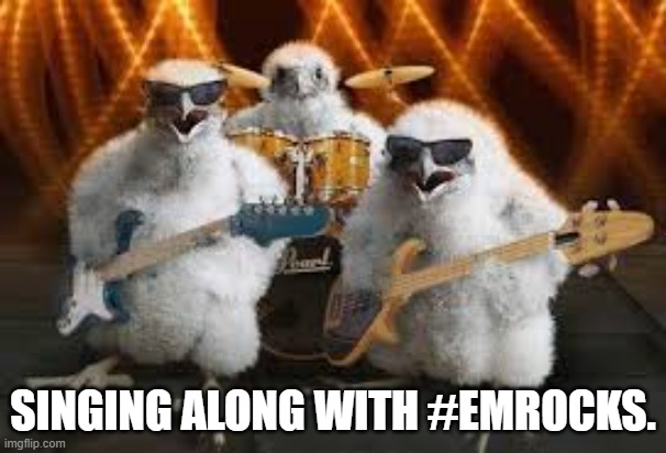 EMRecipesOnline's tweet image. Who's up for a boogie while we #EMROCtranscribes? Check out our EMROCKs Again playlist, compiled by @jen_munroe. Or tell us what you're listening to :-) #EMROCKs