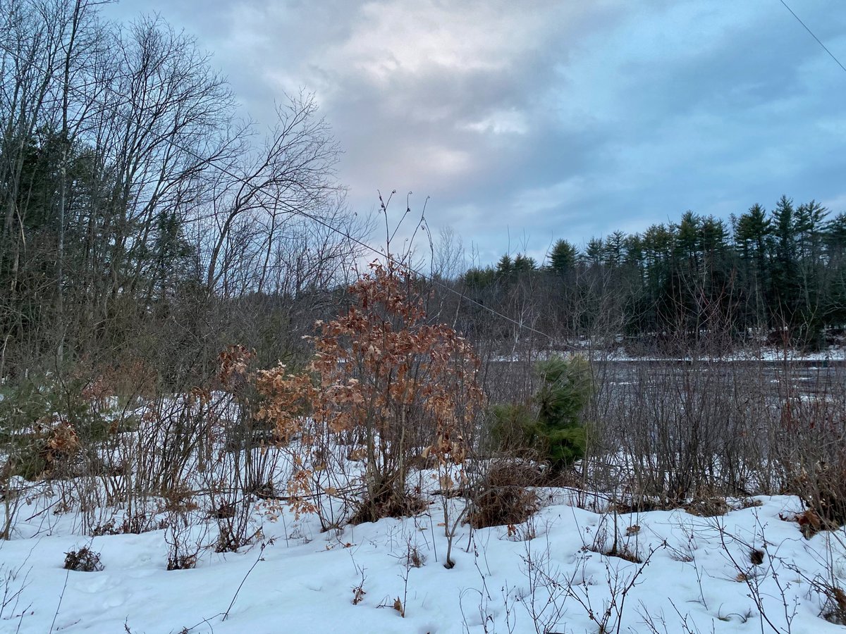 Eversource NH on Twitter "Our transmission team is working a difficult