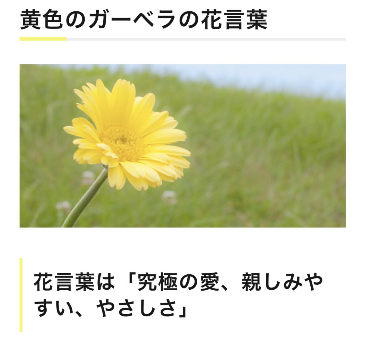 Nana 玉森くんのカラーが黄色だから黄色のお花かと思ったんだけども それだけでもなさそうな気配 ボス恋は演出がディズニーの隠れミッキーばりに細かい Twitter