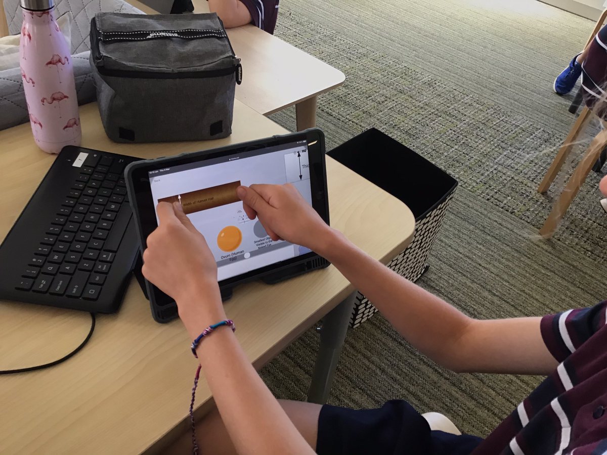 StephB5064's tweet photo. #base4 @AnnesleySA are buzzing today using https://t.co/1JmIq0E2sp to compare scale and size. One Ss even started comparing a single strand of her hair! #HTWW #handsoninquiry @AshleighFlavel https://t.co/PXFW6VcZFp