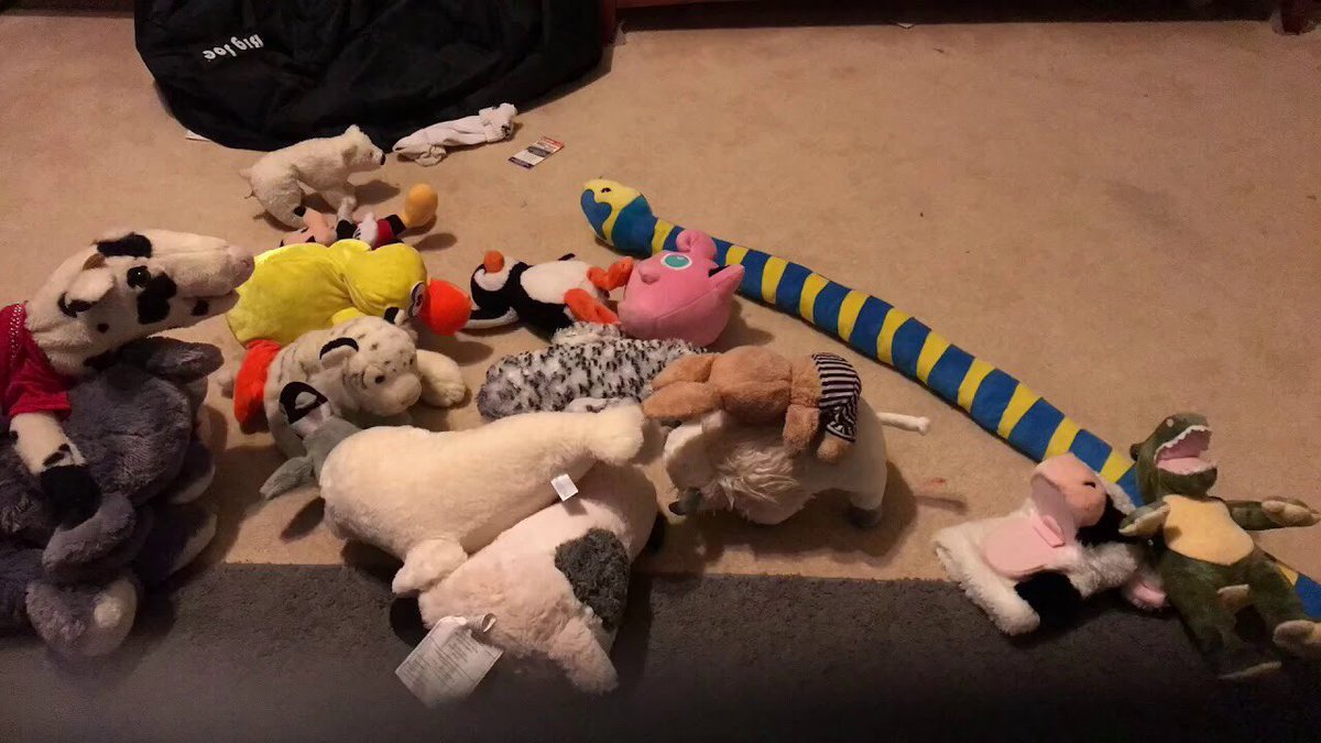 OrderlySteve's tweet photo. “You know Peter, we just really have no clue what to do with this one. We heard screaming from his room so we rushed in and saw his stuffed animals strewn across the room like they were fighting one another. Yeah, we’ll just throw them out and get him some new ‘calmer’ ones.” https://t.co/UHaJYDm7wH
