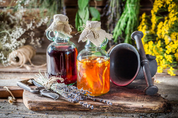 TessPennington's tweet photo. Make your garden do double duty by growing food and natural medicine! These seven reasons will show you how beneficial it can be.

#ReadyNutrition https://t.co/rvQXw4wmeQ https://t.co/maqwd2JhMt