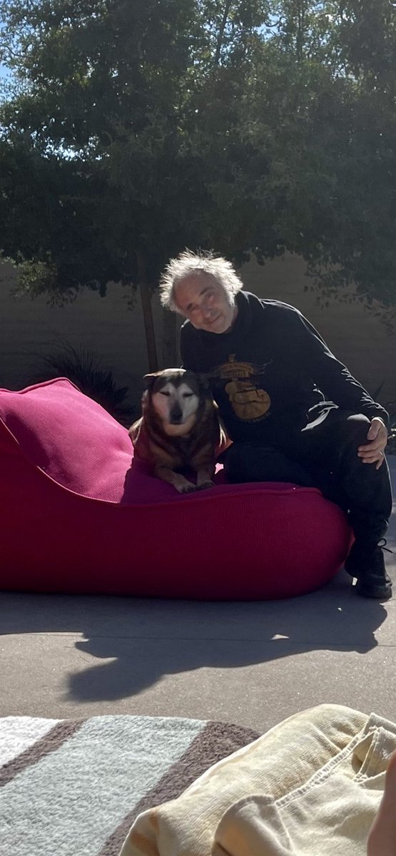 Amy Aiello Lofgren tweet media