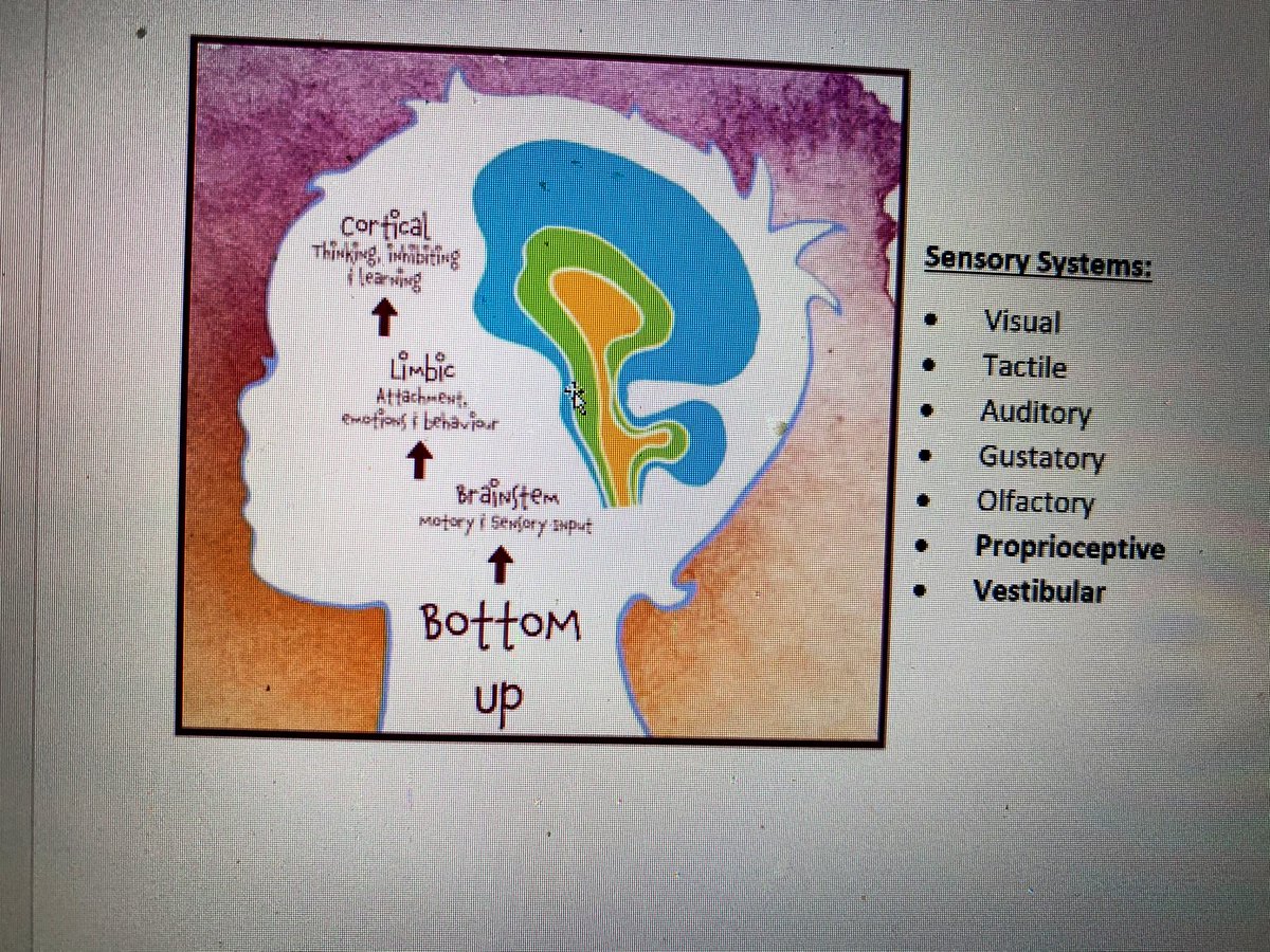 Sarah Barnes tweet media