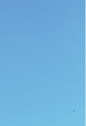 ―――― ✵

                      blue  skies  ;
                      green  girl  .
                      (  two  dorks  )  .