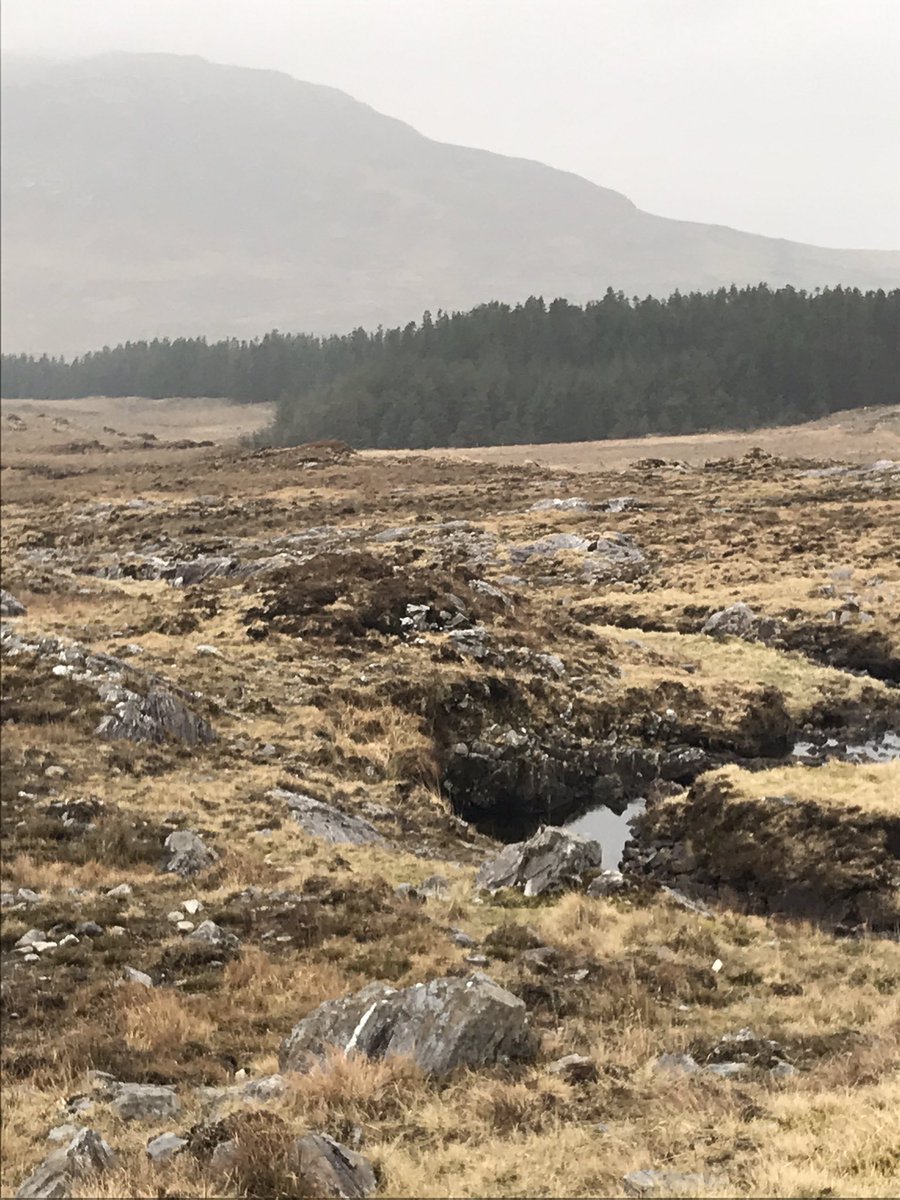 eacbhaile29's tweet photo. Lá 62 #100daysofwalking #folláine #conamara #6km #fraoch #fás Tirim ach fuar. #SnaG21 #SeachtainNaGaeilge Imíonn an tuirse is fanann an tairbhe 😊 https://t.co/UhSKmA1F7d
