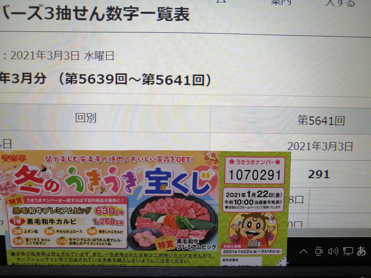 野良ネコ Com 安楽亭 冬のうきうき宝くじ お願いします 野良ネコ Com 安楽亭 冬のうきうき宝くじ お願いします
