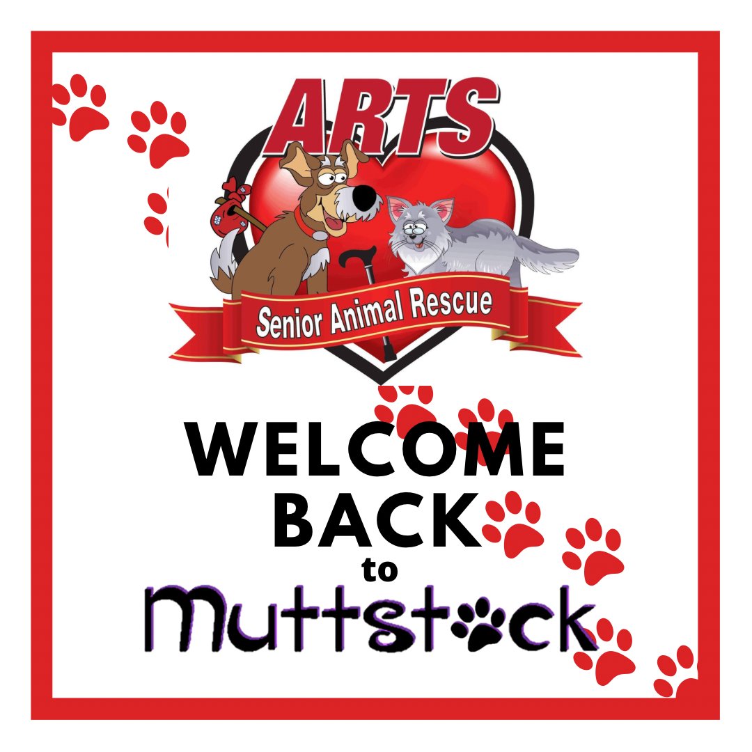 Muttstock tweet media