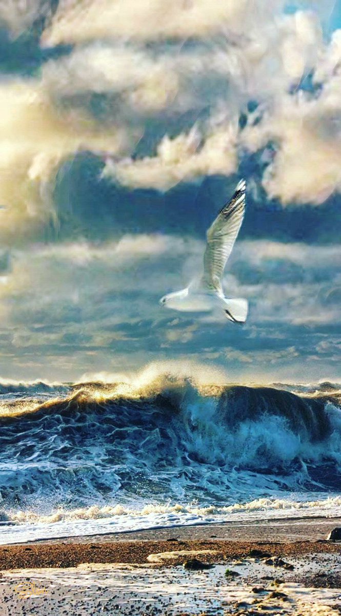 Rules217's tweet image. 