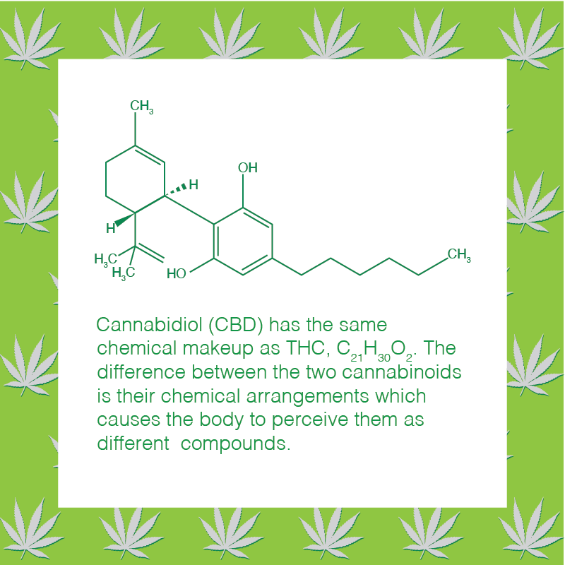 soonerstatewell's tweet photo. #FastFacts - where we learn about the science, history, and culture of #cannabis. 🌿
-
Cannabidiol (#CBD) has the same chemical makeup as THC. The difference is their chemical arrangements. The body thus perceives them as different compounds.
-
#SSW #SoonerStateWellness https://t.co/KGtw9atJDT
