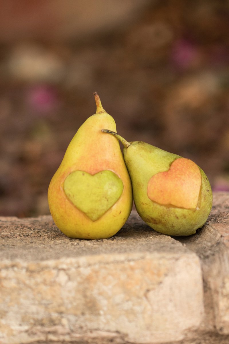 The food we eat brings us together as families, communities and nations. It underpins our cultures, our economies and our relationship with the natural world. #FoodSystems touch every aspect of our human existence. More info @FoodSystems summitdialogues.org/explore-dialog… #WorldWildlifeDay