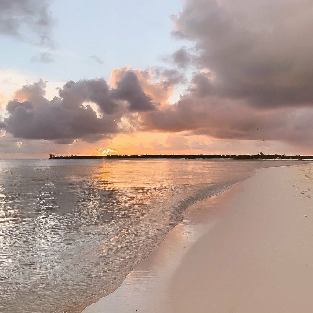 #NouvellePhotoDeProfil