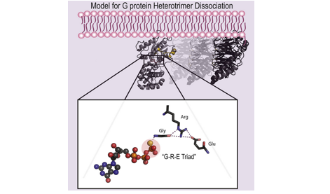 Lasker Foundation tweet media