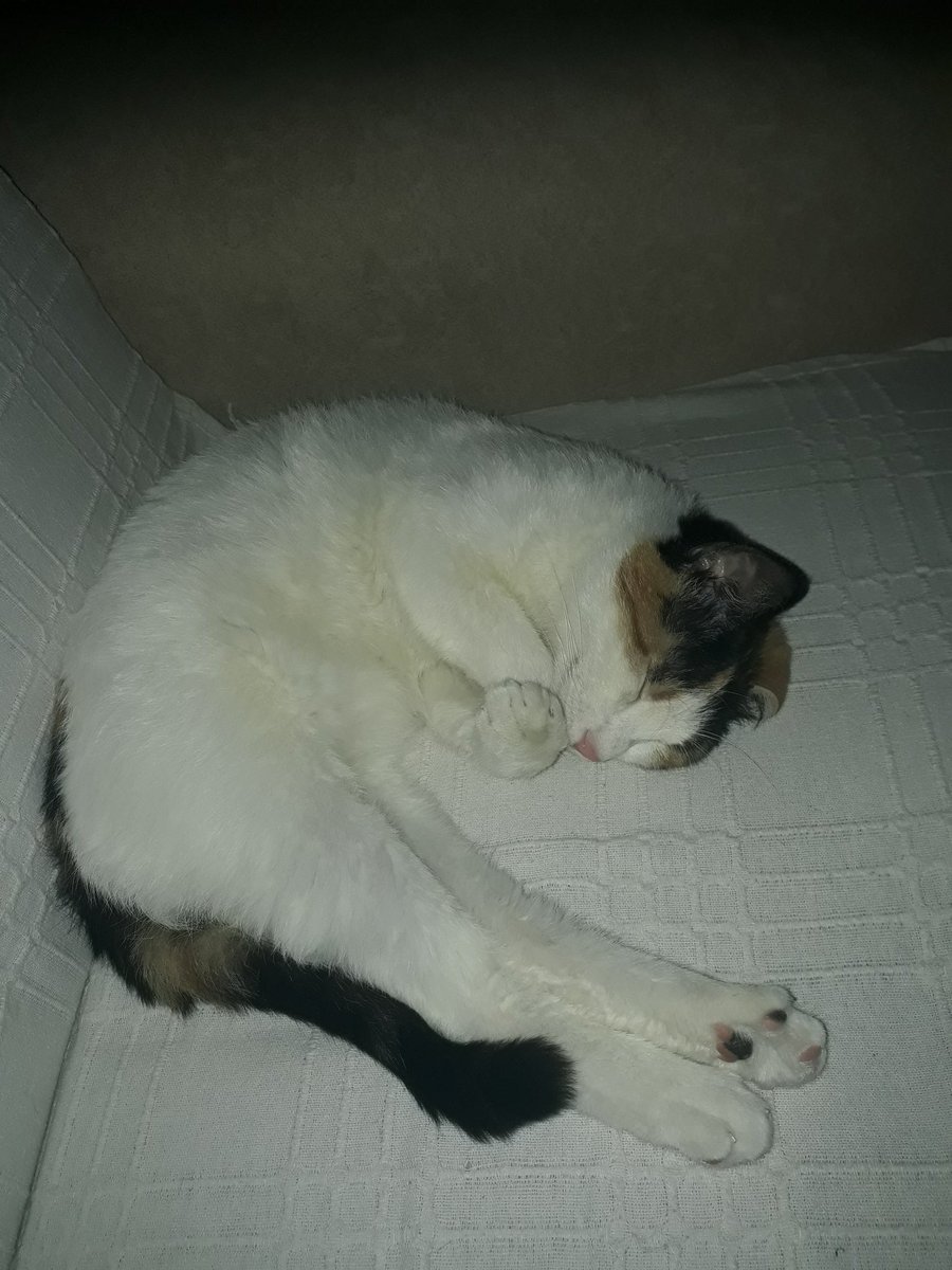 Lütfen kızımızı paylaşır mısınız?
Son ilacımız için 2 doz iğnemiz kaldı..🐹🐾
Yaklaşık 1.500 civarı lütfen yardımlarınızı esirgemeyin bizlerden💮🙏